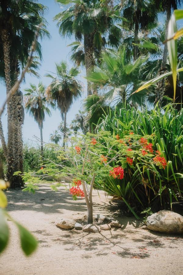 La Poza Boutique Hotel And Spa - Adults 15 Plus Todos Santos Eksteriør bilde