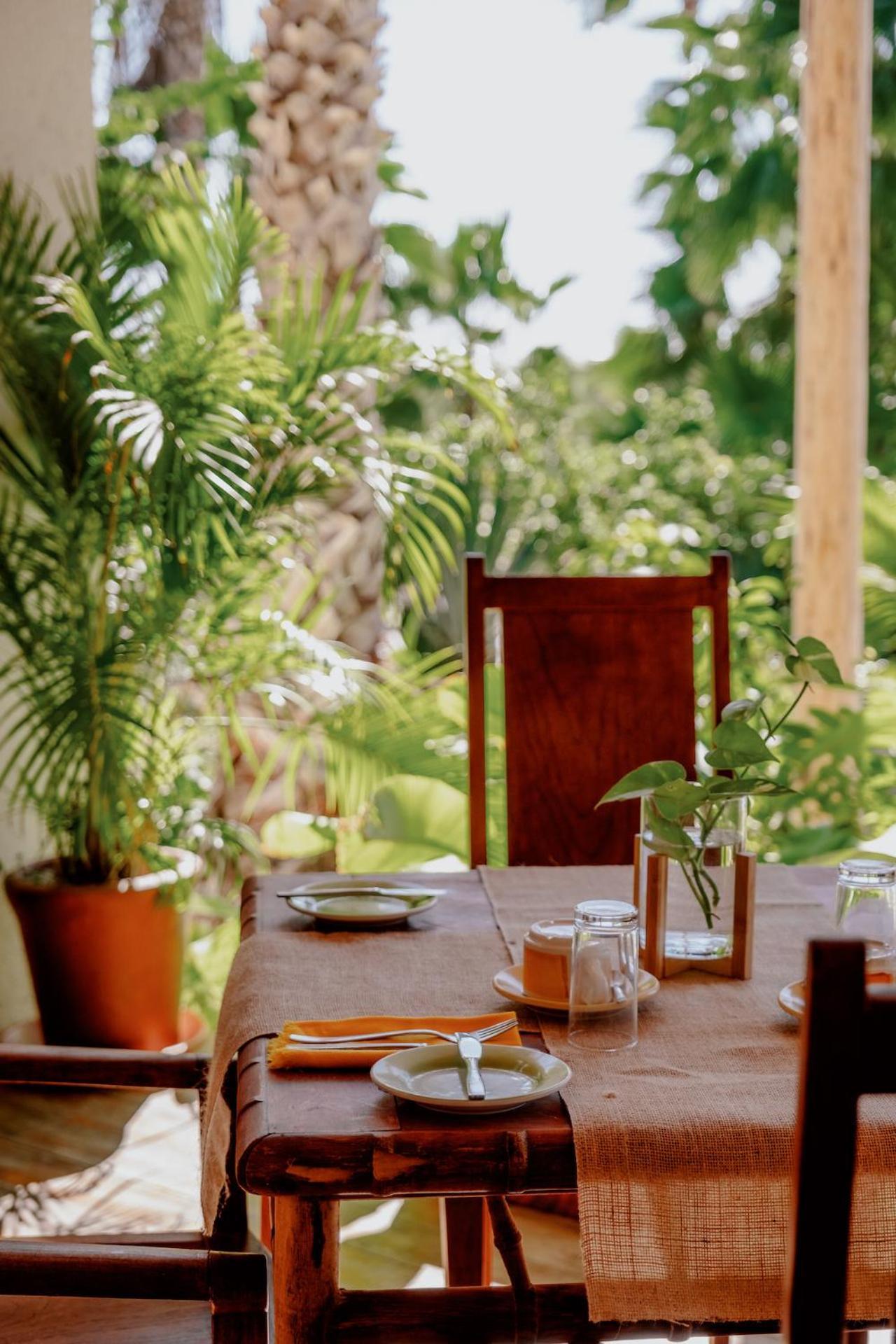 La Poza Boutique Hotel And Spa - Adults 15 Plus Todos Santos Eksteriør bilde