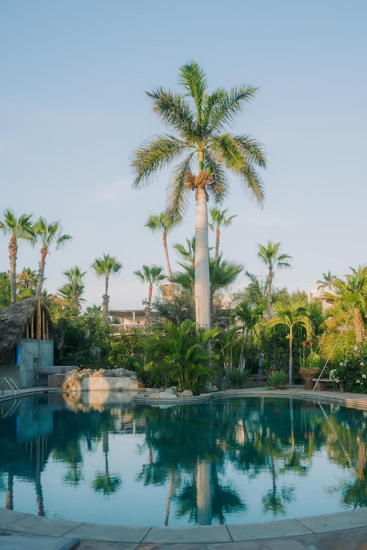 La Poza Boutique Hotel And Spa - Adults 15 Plus Todos Santos Eksteriør bilde