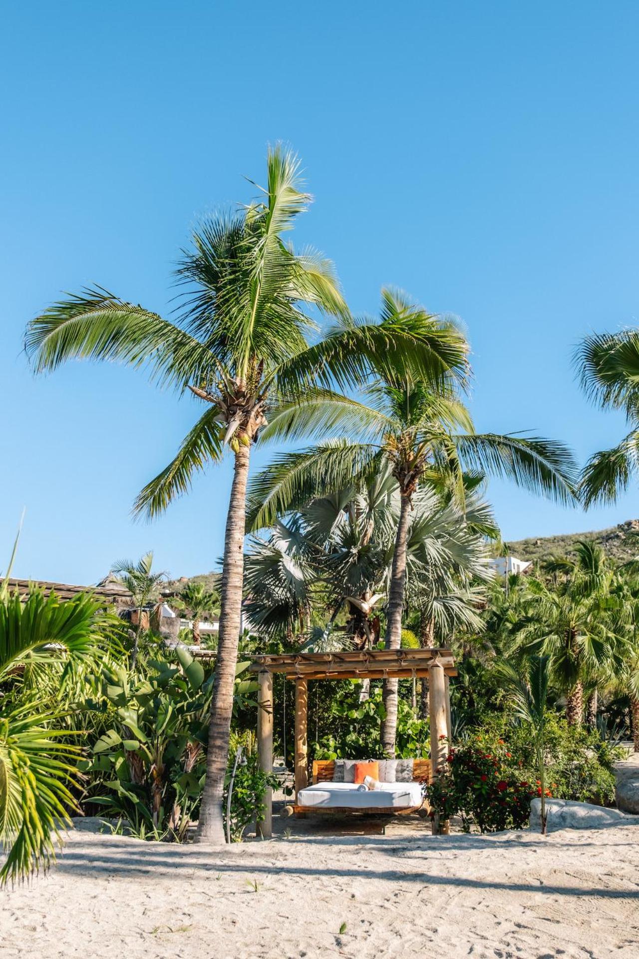 La Poza Boutique Hotel And Spa - Adults 15 Plus Todos Santos Eksteriør bilde